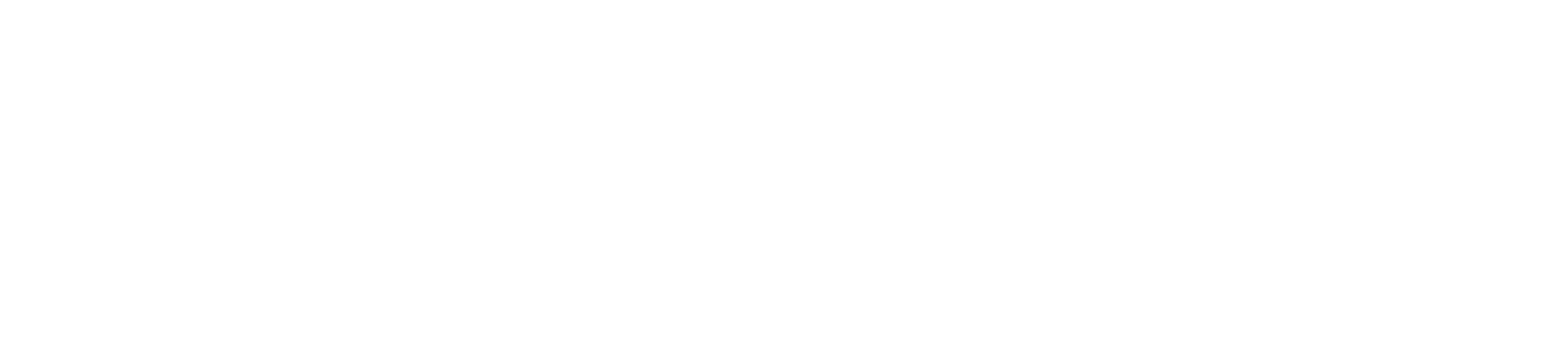 SeoRank